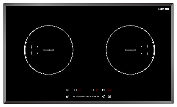 Bếp từ Dmestik ES01 DKI