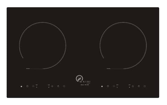 Bếp từ Washi WK 206i